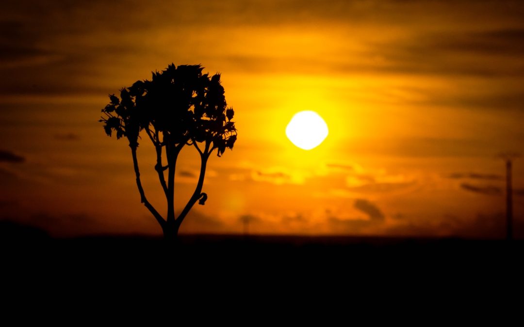 On ne guérit pas de la schizophrénie !