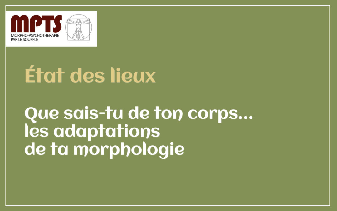 Module 10 – Que sais-tu sur ton corps : les adaptations de la morphologie ?