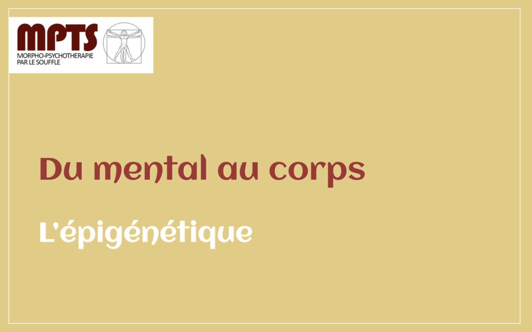 Chapitre 6 – L’épigénétique