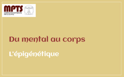 Chapitre 6 – L’épigénétique