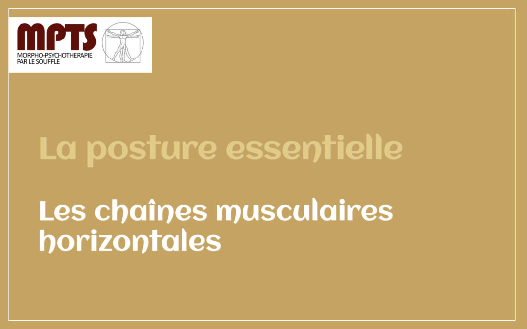 Module 5 – Les chaînes musculaires horizontales