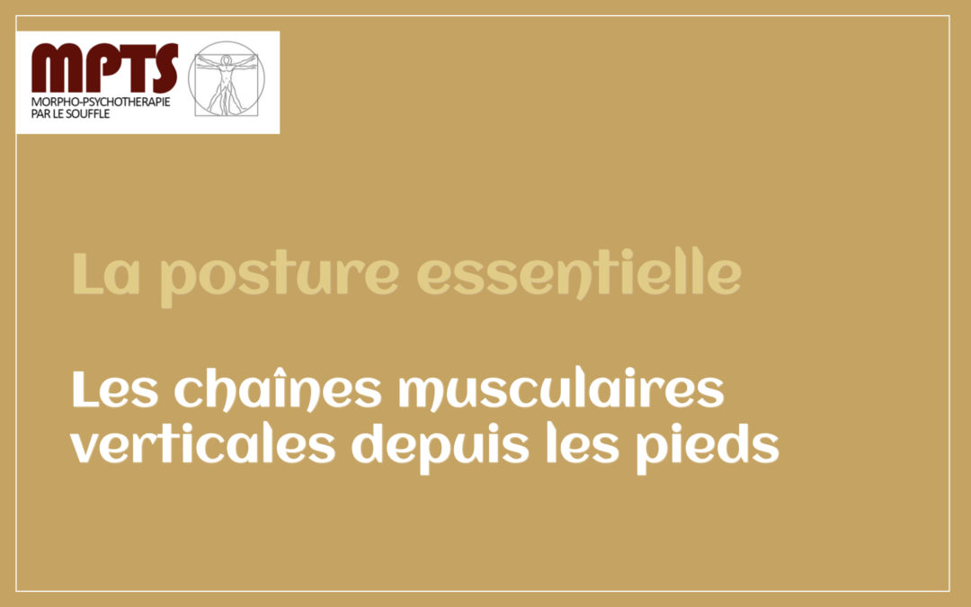 Module 6 – Les chaînes musculaires verticales depuis les pieds