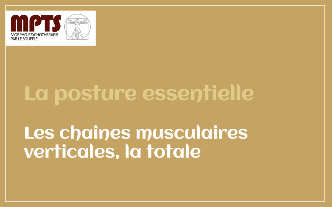 Module 8 – Les chaînes musculaires verticales, la totale