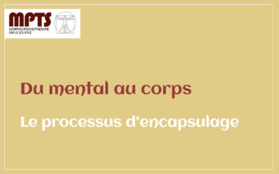 Module 2 – Le processus d’encapsulage