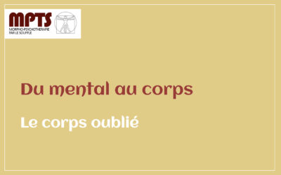 Module 4 – Le corps oublié