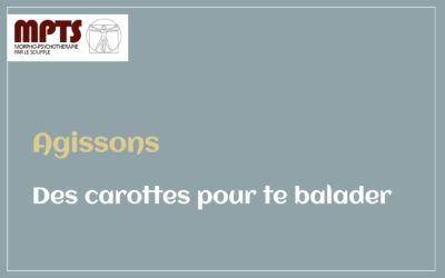 Module 4 – Des carottes pour te balader